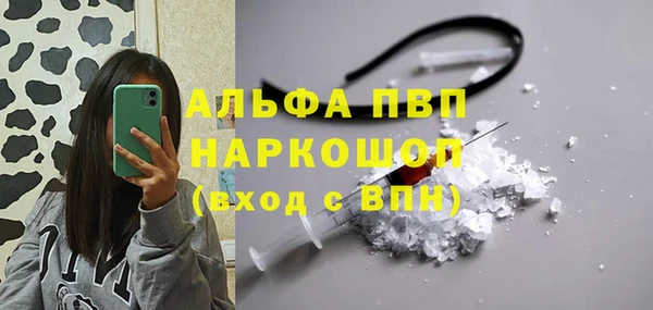 прущий лед Дмитриев