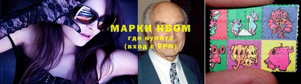 прущий лед Дмитриев
