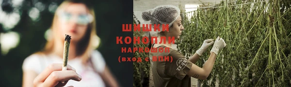 мяу мяу мука Гусев