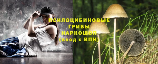 мяу мяу мука Гусев