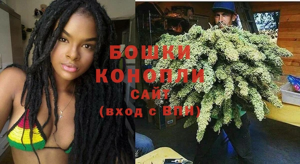 прущий лед Дмитриев