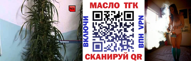 купить наркотики цена  Буй  ТГК THC oil 
