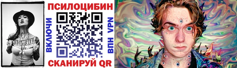 где найти наркотики  Буй  Псилоцибиновые грибы прущие грибы 